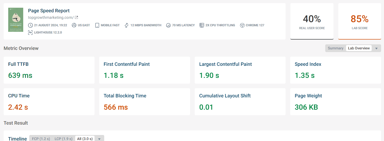 website page speed audit example