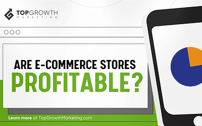 Are Ecommerce Stores Profitable In 2025