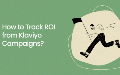 How to Track ROI from Klaviyo Campaigns?
