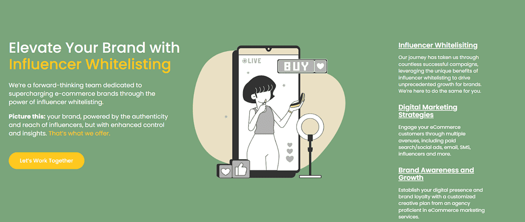 tiktok influencer agency whitelisting 