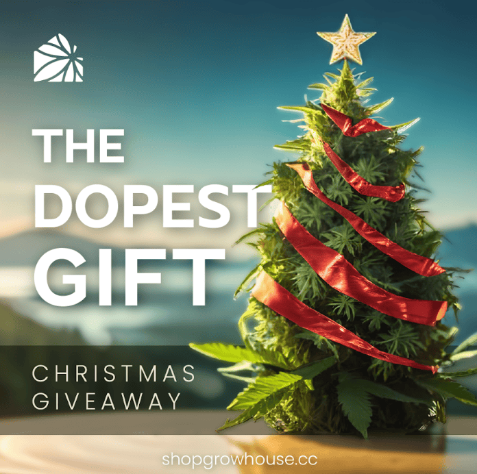 meta christmas ad example of a giveaway