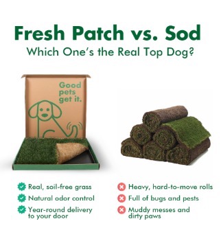 ad example pet us vs them