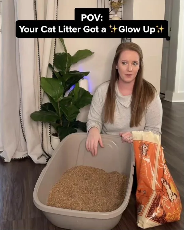 Catalyst Pet Facebook ad example — Natural Wood Litter