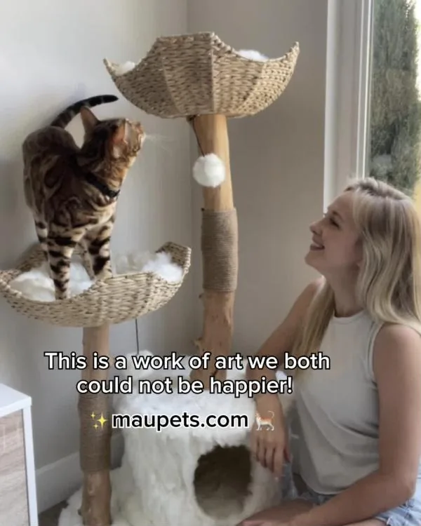 Mau Pets Facebook ad example — Cat Furniture