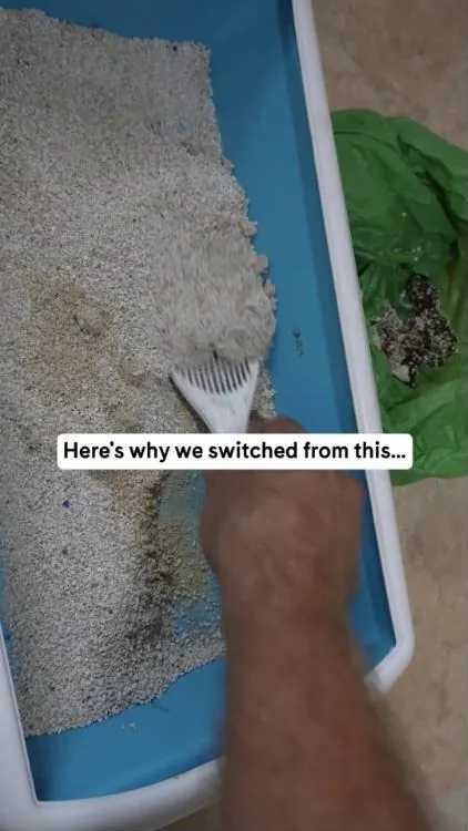 PrettyLitter Facebook ad example — Health-Monitoring Litter