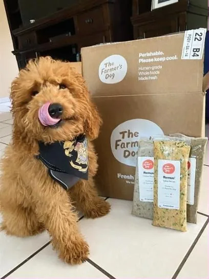 The Farmer's Dog Facebook ad example — Fresh Dog Food
