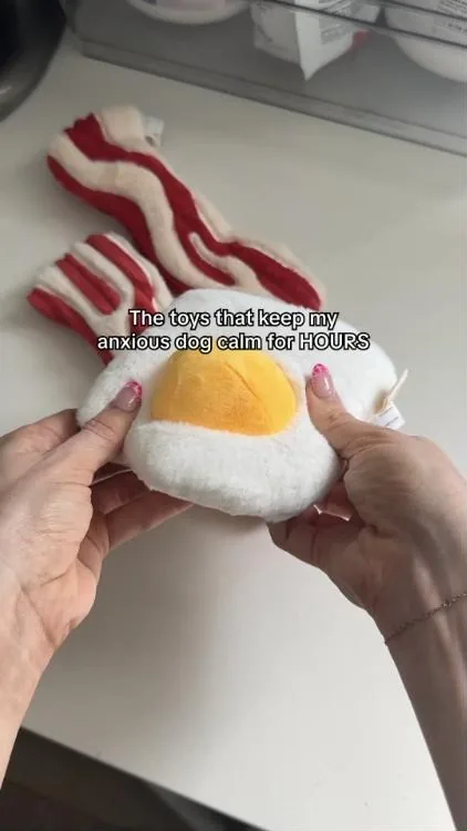 The Foggy Dog Facebook ad example — Enrichment & Sniffing Toys